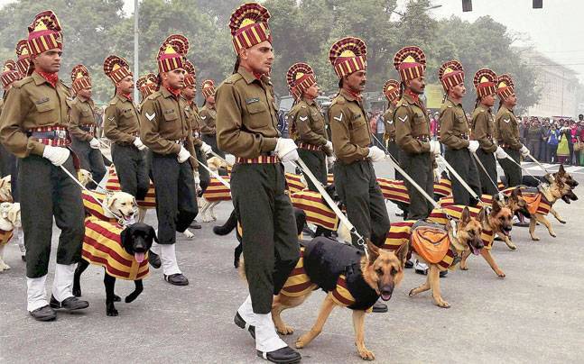 armydogs