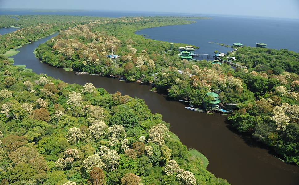 Arquipélago de Anavilhanas, Amazona